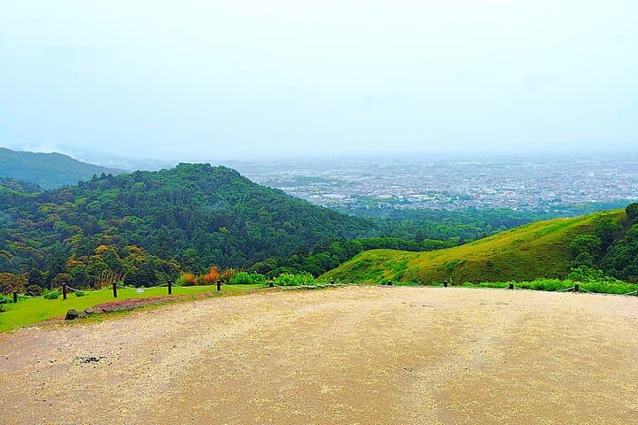 Nara: Hike Mt. Wakakusa and Encounter Wild, Free-Roaming Deer — photo 20