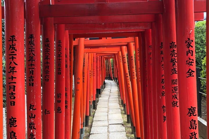 Private Day Tour in Tokyo with Government-Licensed Guide — photo 7