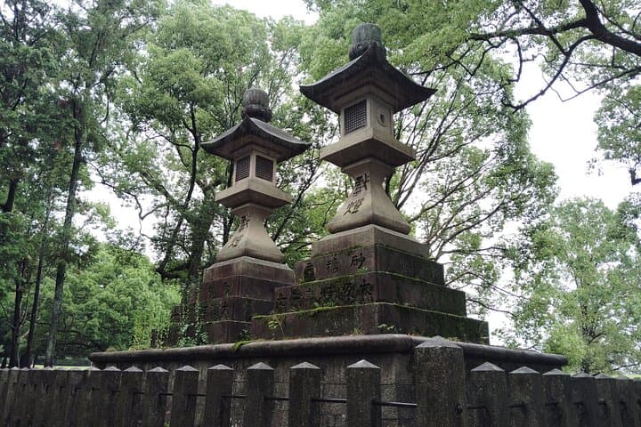 Nara: Sacred Morning Walk with Deer in the Mist — photo 8