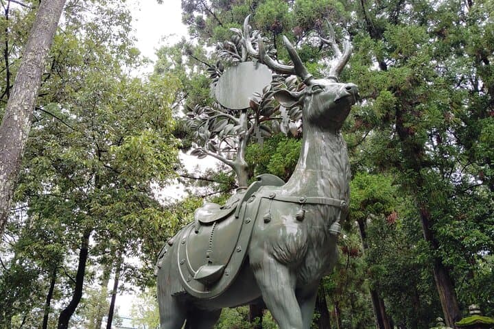 Nara: Sacred Morning Walk with Deer in the Mist — photo 11