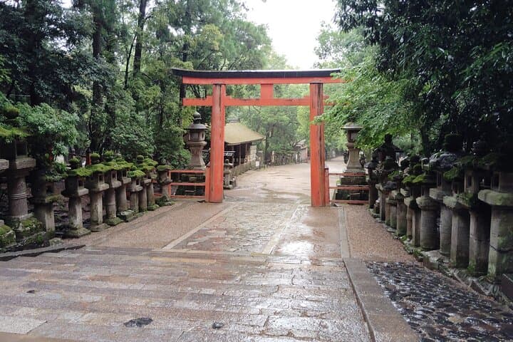 Nara: Sacred Morning Walk with Deer in the Mist — photo 13