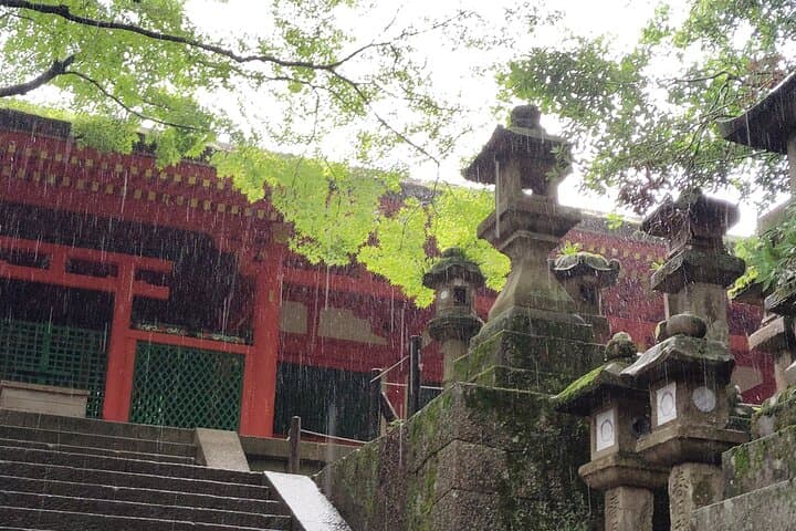 Nara: Sacred Morning Walk with Deer in the Mist — photo 15