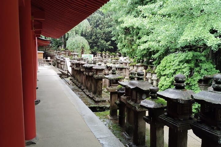 Nara: Sacred Morning Walk with Deer in the Mist — photo 16