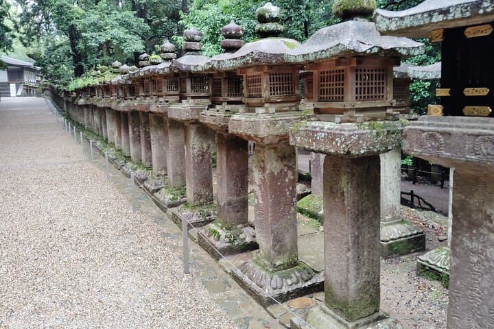 Nara: Sacred Morning Walk with Deer in the Mist — photo 17