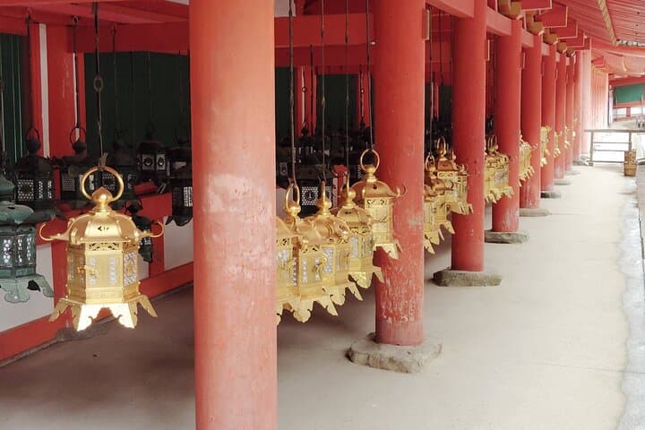 Nara: Sacred Morning Walk with Deer in the Mist — photo 18