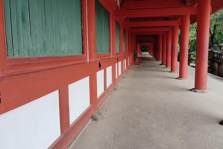Nara: Sacred Morning Walk with Deer in the Mist — photo 19