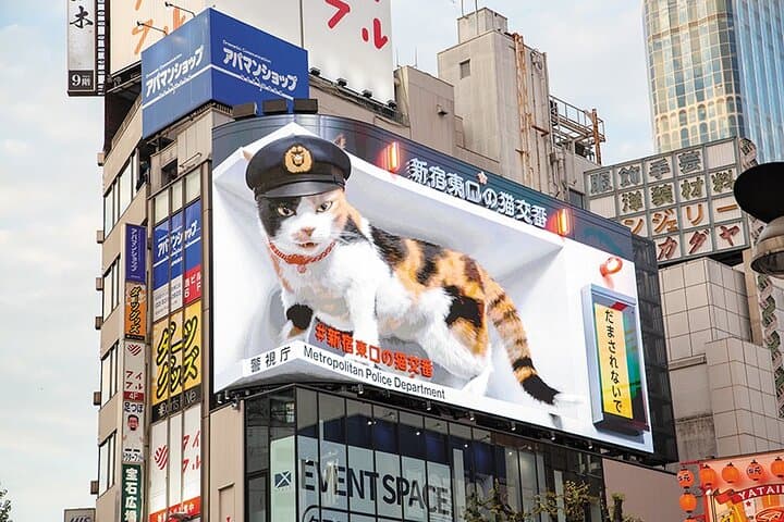 Exciting Shinjuku Night Walk — photo 5