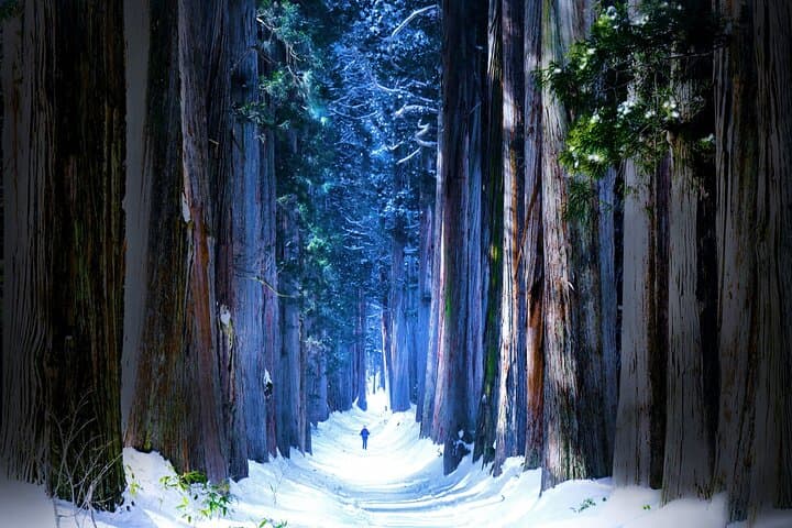 Private Winter Togakushi Tour with Snow Play — photo 1