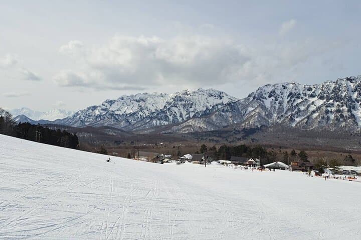 Private Winter Togakushi Tour with Snow Play — photo 2