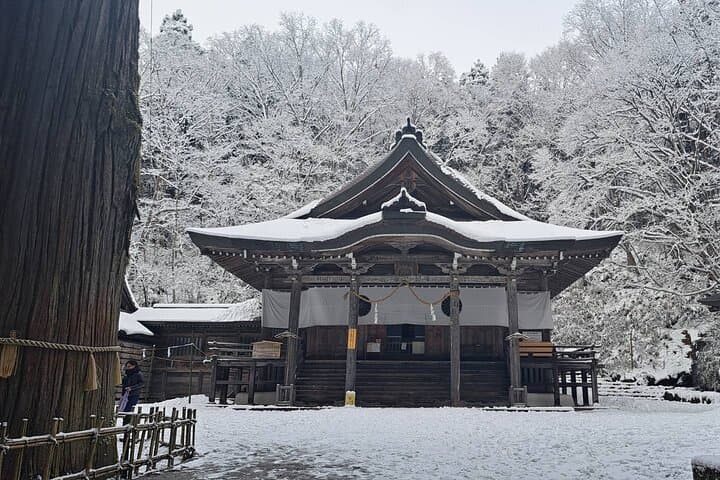 Private Winter Togakushi Tour with Snow Play — photo 4