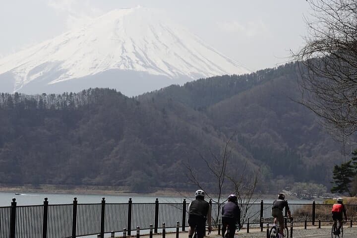 Leisure Cycling Tour Around Mt. Fuji's Five Lakes — photo 2