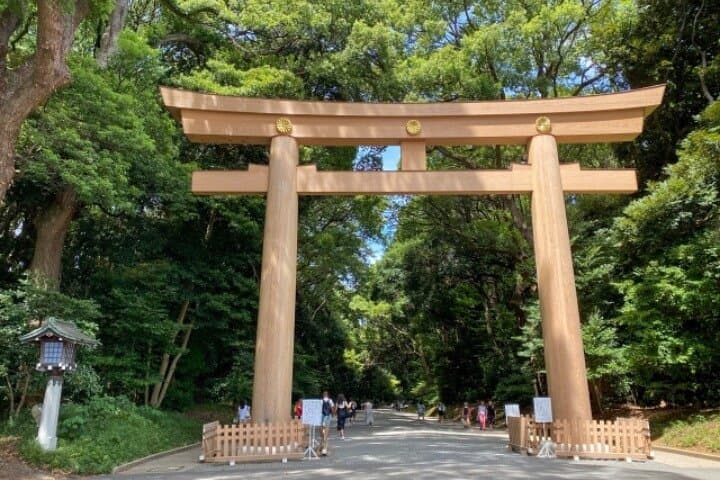 Tokyo Pop Culture & Tradition Tour: Meiji Shrine to Harajuku — photo 5