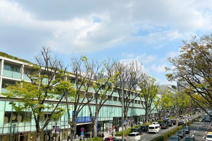 Tokyo Pop Culture & Tradition Tour: Meiji Shrine to Harajuku — photo 9
