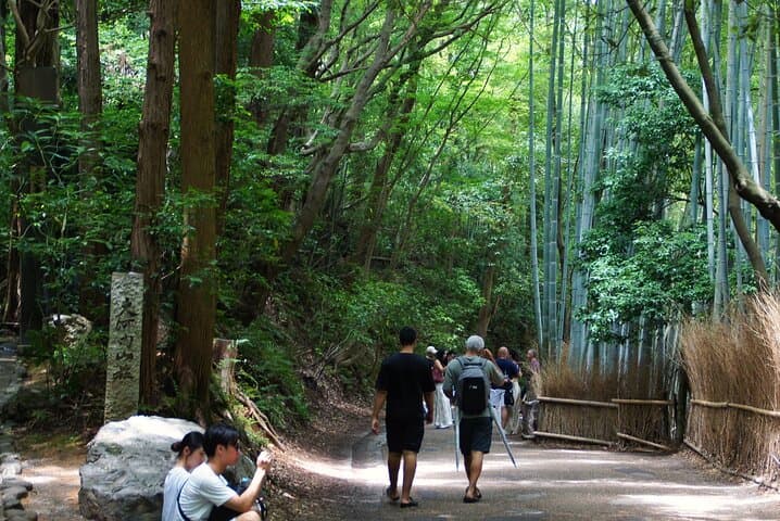 Kyoto: Arashiyama Bamboo Forest, Monkeys, Matcha & Temple Tour — photo 16