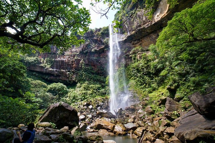Iriomote’s Adventure: Pinaisara Falls Canoe and Trekking Tour — photo 2