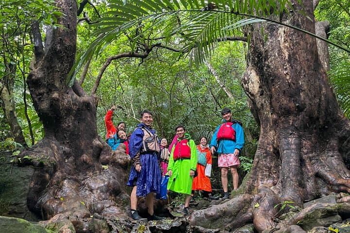 Iriomote’s Adventure: Pinaisara Falls Canoe and Trekking Tour — photo 3
