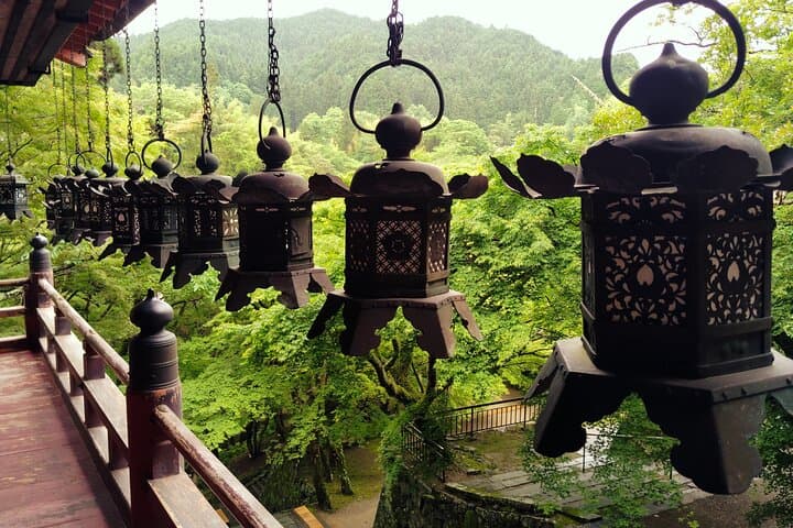 Nara: Explore Tanzan Shrine’s Pagoda and Sacred History — photo 4
