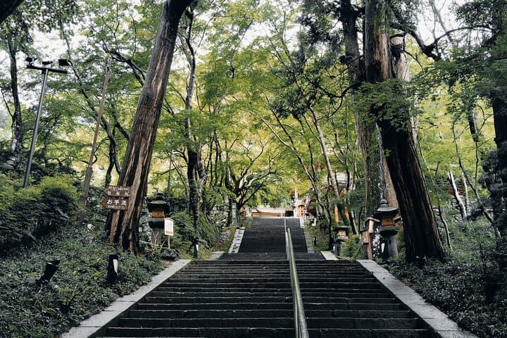 Nara: Explore Tanzan Shrine’s Pagoda and Sacred History — photo 7
