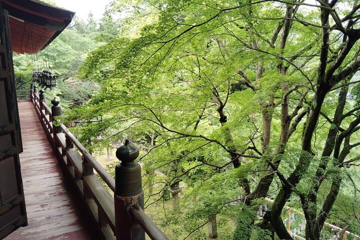 Nara: Explore Tanzan Shrine’s Pagoda and Sacred History — photo 10