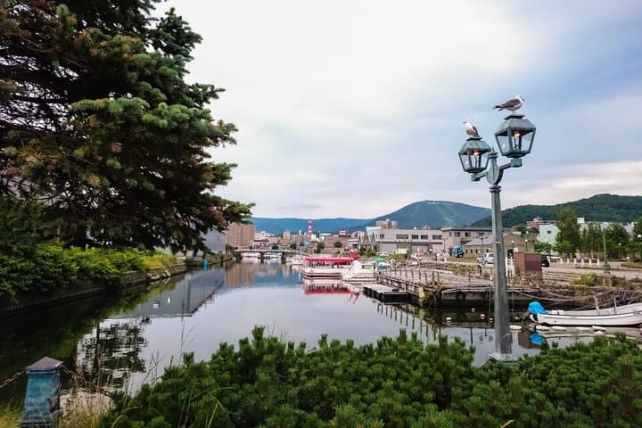 [Otaru & Yoichi] Let's go to Otaru Canal, Sakaimachi Street, Music Box Hall, and Yoichi Nikka Whiskey by private car (arriving and departing from Sapporo) — photo 20