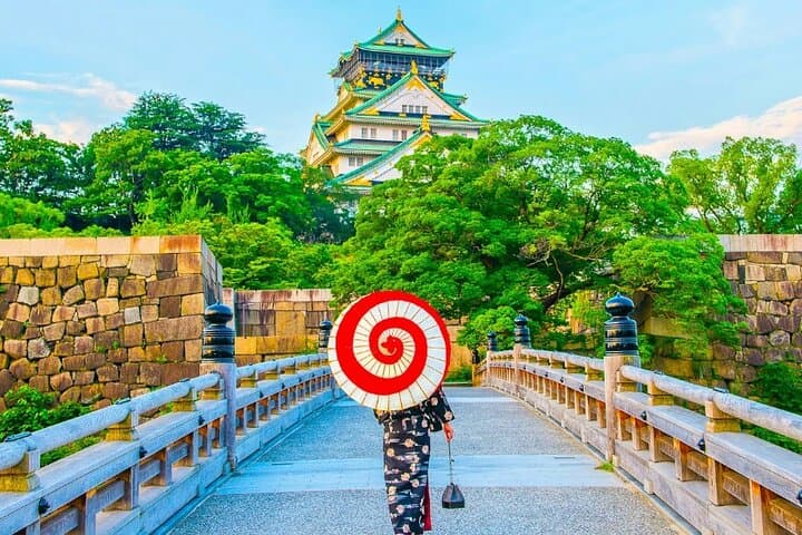 10 Hours Chartered day Tour in Osaka Japan — photo 3
