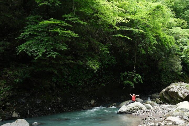 Hakone Valley Hike, Forest Bathing and Wagashi shop (Half-day) — photo 7