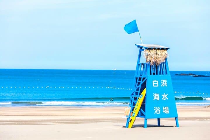 Osaka to Wakayama, Japan One-Day Chartered Tour — photo 3
