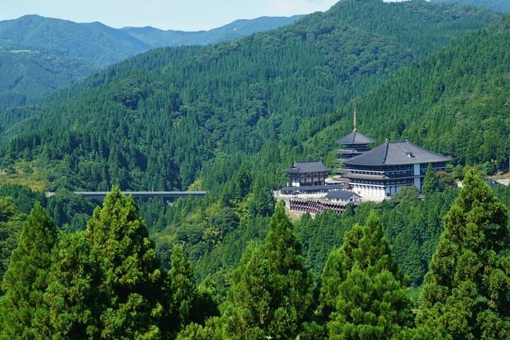 1Night and 2Days Trip to Kinosaki Onsen and Temple — photo 11