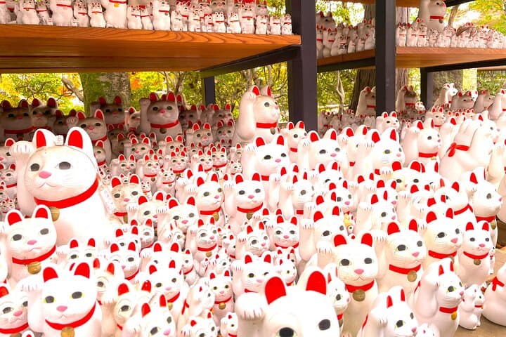 Tokyo: Gotokuji Lucky Cat Temple, Shinjuku Cat Cafe, 3D Giant Cat — photo 8