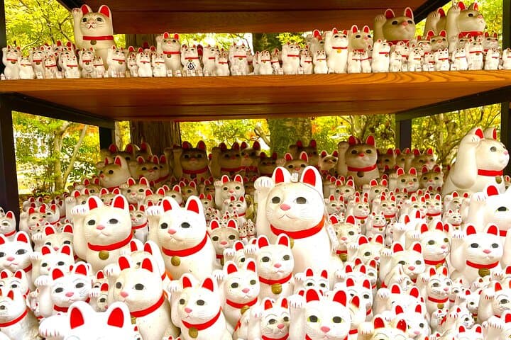 Tokyo: Gotokuji Lucky Cat Temple, Shinjuku Cat Cafe, 3D Giant Cat — photo 18