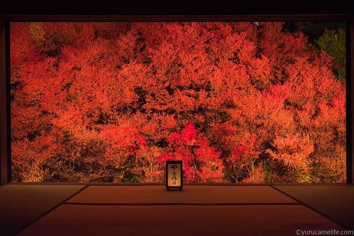 1Night and 2Days Trip to Kinosaki Onsen and Temple — photo 3