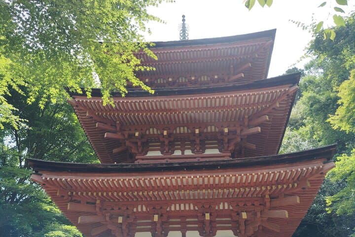 Southern Kyoto: Journey to Jōruri-ji & Its Pure Land Garden — photo 8