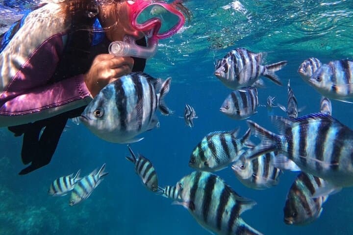 AO Exclusive: Private Blue Cave Snorkeling — photo 2