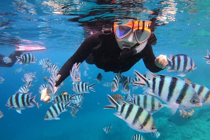 AO Exclusive: Private Blue Cave Snorkeling — photo 12
