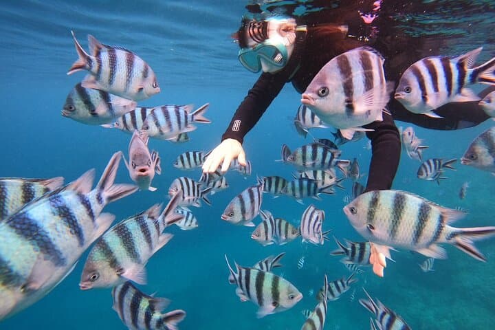 AO Exclusive: Private Blue Cave Snorkeling — photo 13