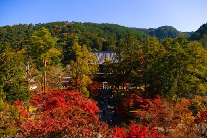 Peaceful Kyoto Walking Tour — photo 4