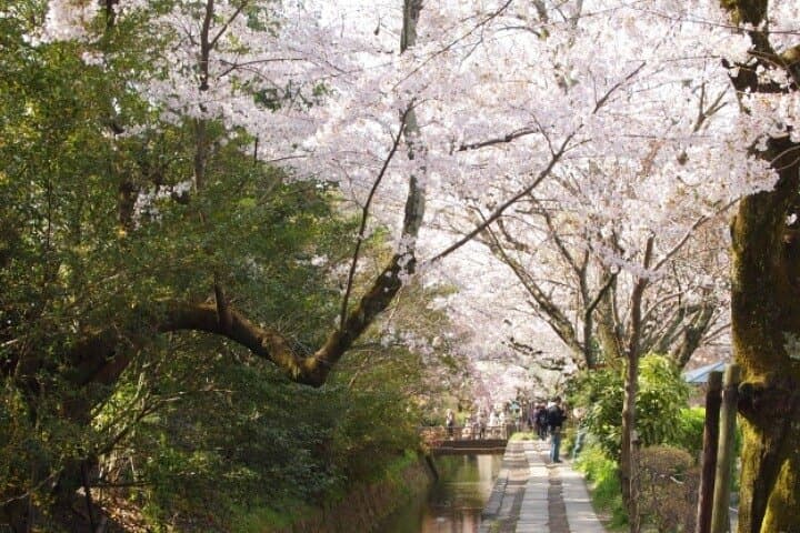 Peaceful Kyoto Walking Tour — photo 8