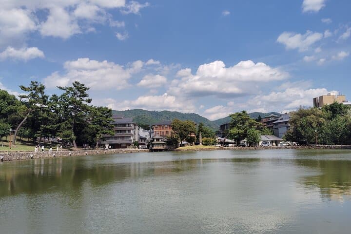 Nara: Sake Tasting Tour at the Birthplace of Japanese Sake — photo 13