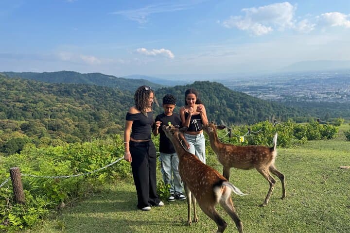 Discover Ancient Nara: Private Car Tour from Kyoto or Osaka — photo 3
