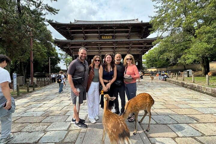 Discover Ancient Nara: Private Car Tour from Kyoto or Osaka — photo 2