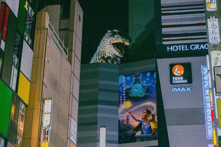Tokyo: Shinjuku Guys' Night Out Tour (Eat, Drink, & Mingle) — photo 9