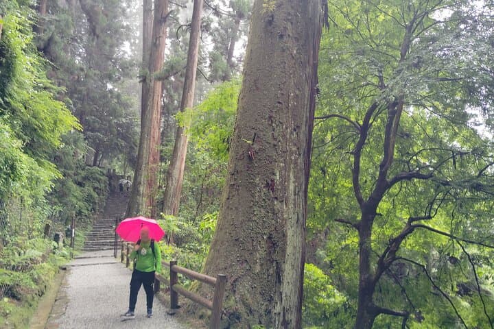 Nara: Muro-ji Temple – Sacred Serenity and Timeless Tradition — photo 17
