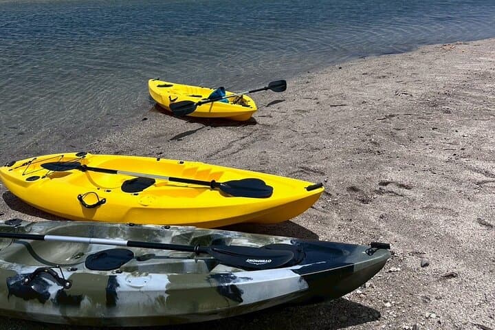 Yakushima Adventure Gear Rentals for Outdoor Fun — photo 4