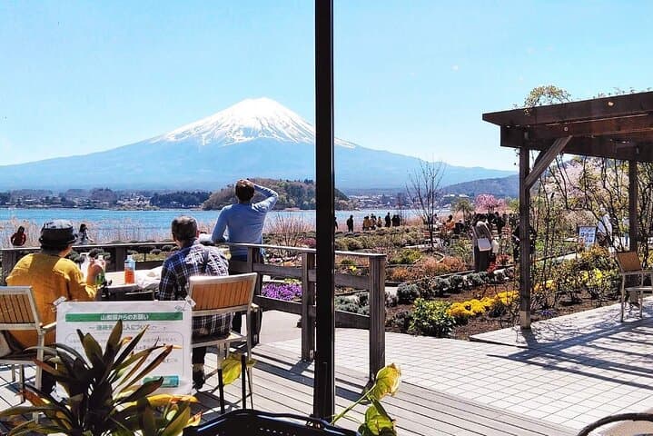 Mt Fuji Views, Fruit Picking and Ropeway Experience Day Tour — photo 10