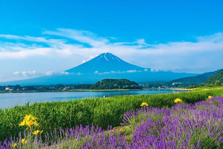 Mt Fuji Views, Fruit Picking and Ropeway Experience Day Tour — photo 1