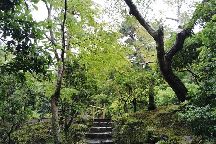Nara: Yoshikien and Isuien Gardens Tour with Tea Tasting — photo 9