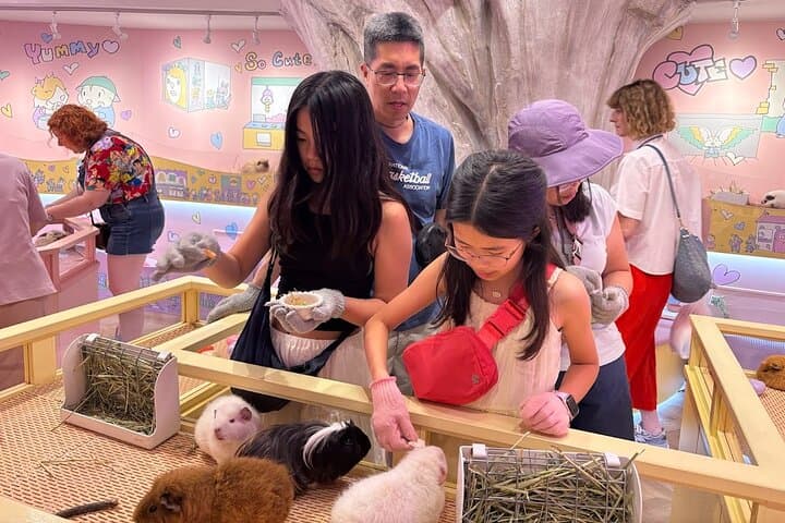Harajuku Private Tour: Kawaii Fashion & Animal Cafe Included — photo 18