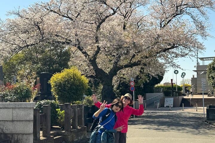 Historic Temple・traditional Japanese garden＆ Eating around at a shopping strip — photo 1