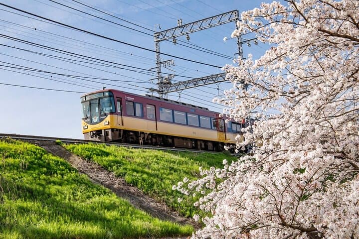 Kyoto Sightseeing Pass E ticket — photo 2