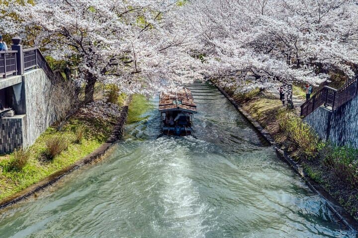 Kyoto Sightseeing Pass E ticket — photo 4